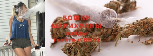 ГАЛЛЮЦИНОГЕННЫЕ ГРИБЫ Алексин