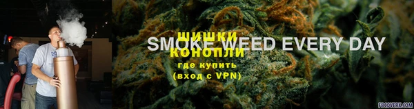 ГАЛЛЮЦИНОГЕННЫЕ ГРИБЫ Алексин