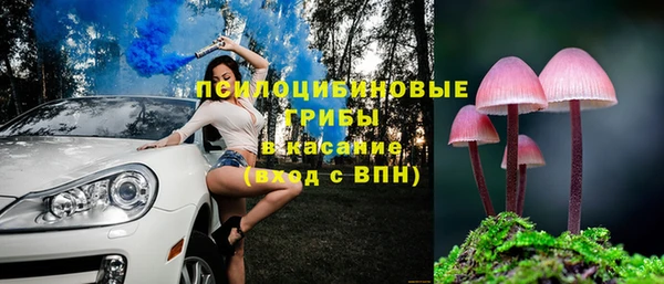 бутират Алзамай