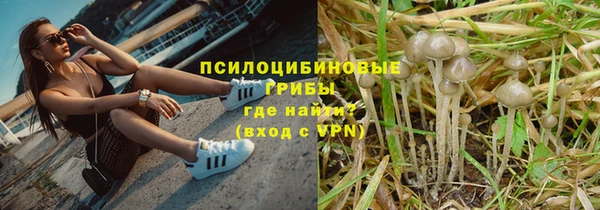 винт Алексеевка