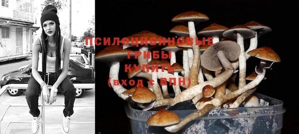 ГАЛЛЮЦИНОГЕННЫЕ ГРИБЫ Алексин