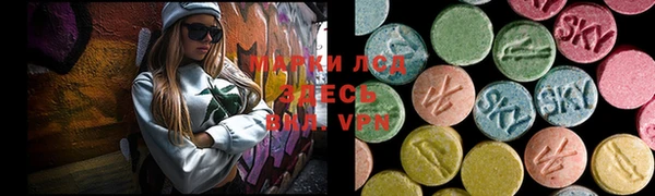 ГАЛЛЮЦИНОГЕННЫЕ ГРИБЫ Алексин